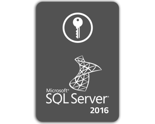 SQL SERVER 2016 standard