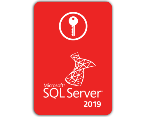 SQL SERVER 2019 standard